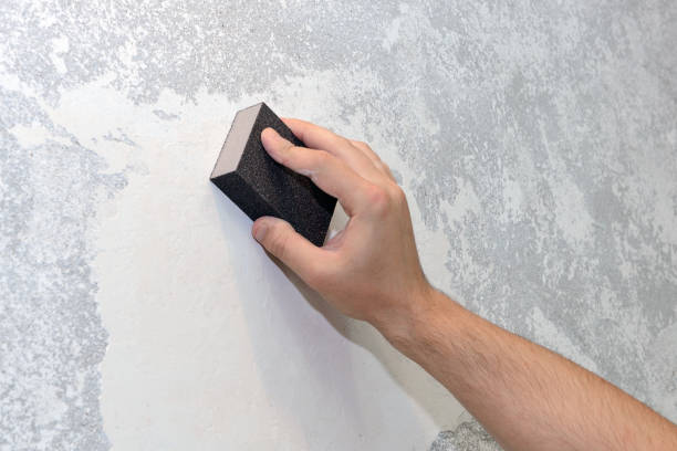 Best Water Damage & Mold Remediation  in Coleraine, MN