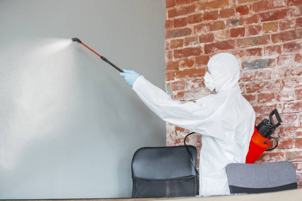 Best Comprehensive Air Testing for Mold Contaminants  in Coleraine, MN
