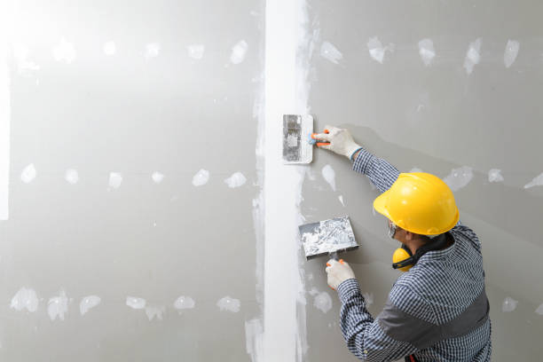 Coleraine, MN Mold Removal Company