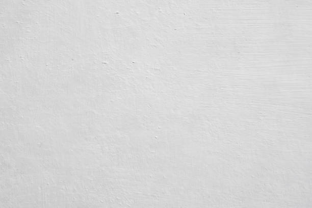Best Black Mold Removal  in Coleraine, MN