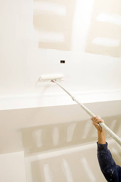 Best Mold Damage Restoration  in Coleraine, MN
