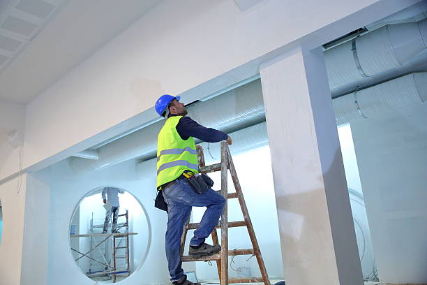Best Airborne Mold Testing  in Coleraine, MN